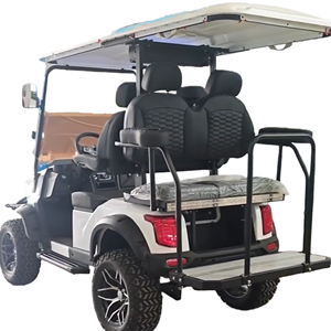 Feux avant combinés à LED personnalisables TONGCAI, voiturette de <span class=keywords><strong>golf</strong></span> électrique 4 places pour les voyages - Product Image 3