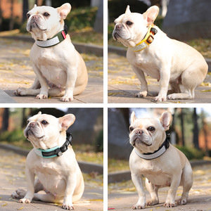 Collare Tattico per Cani, Riflettente, Anti-Strozzamento, Regolabile, per Cani di Taglia Media/Grande, per Tutte le Stagioni, Eight Thousand - Product Image 2