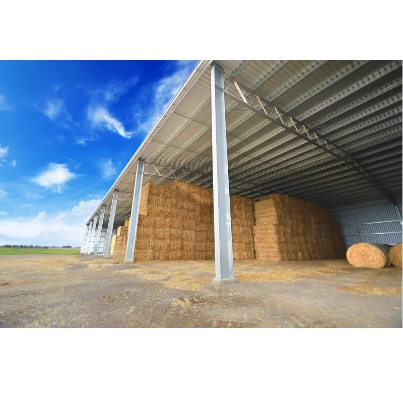 Open Side Two Slopes Agricultural Metal Shed Buildings for Hay