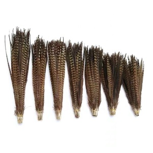 <span class=keywords><strong>Plumas</strong></span> de Faisán de Alta Calidad de 10-15 cm para Tocados, Disfraces, Accesorios de Cine, Decoraciones Retro, Sombreros y Accesorios para Sombreros - Product Image 5