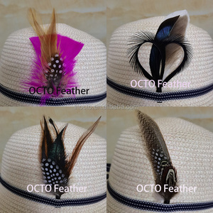 Plumas Decorativas para Sombreros <span class=keywords><strong>de</strong></span> Hombre, Diseño Personalizado, Varios Tamaños <span class=keywords><strong>de</strong></span> 3-5 Pulgadas, Gran <span class=keywords><strong>Venta</strong></span> - Product Image 2