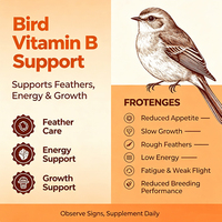 Multivitamine liquide OEM pour pigeons de course, coqs de combat, volailles, perroquets, gouttes de vitamine B complexe avec compte-gouttes, flacon ambré