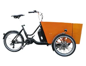 इलेक्ट्रिक कार्गो बाइक एक रिवर्स ट्राइसाइकिल एक बच्चे को साथ ही एक कुत्ते को भी चला सकती है।