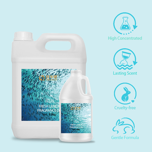 Huile parfumée Océan économique, Arôme et parfum synthétiques de qualité supérieure pour applications laitières, Service OEM/ODM 1kg 5kg 25kg 200kg - Product Image 2