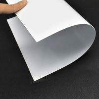 Rouleau de feuilles de polystyrène à haute résistance (HIPS) blanc et noir pour thermoformage et blister