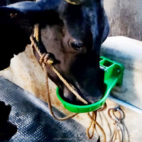 YYX LMS01 Animal Farm Water Feeding Tank Cow Horse Drinker Bowl Automatic Cattle Water Trough