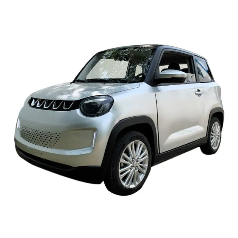 2022 EEC COC Cheap New Product Fully Closed Double Doors Adult Mini Electric Car