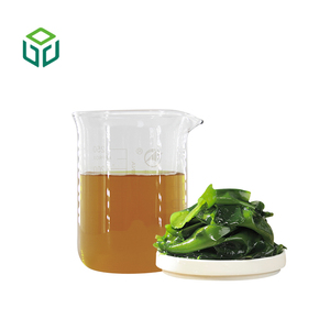 مسحوق الكومبو / مسحوق الأعشاب البحرية / مسحوق الطحالب البحرية للبيع من المصنع مباشرة - Product Image 2