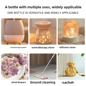 Diffuseur d'arômes en pierre pour chambre à coucher, 24 parfums, longue durée, Rose, Citron, Plantes - Product Image 4