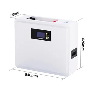 Power Wall Mounted 48V 5kw Lifepo4 Accu Pack 51.2V 100ah Solar Lithium Ion Home Energy Storage Akku Powerwall 5kwh