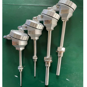 Sensor de Temperatura Pt100 a Prueba de Explosiones Anai Wzpk para Uso Industrial - Product Image 2