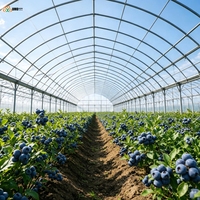 Film de serre en polyoléfine en gros, personnalisé OEM, anti-goutte, anti-buée, protection UV, film stable pour tunnels agricoles