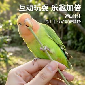 Bâton à mâcher en herbe pour perroquets, branche rugueuse, jouet à mâcher pour oiseaux, pour perroquets et calopsittes, herbe naturelle barbe de dragon - Product Image 4