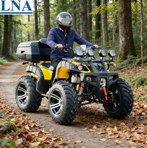 <span class=keywords><strong>Quad</strong></span> <span class=keywords><strong>chinois</strong></span> LNA avec logo personnalisé, 300cc, facile à conduire, idéal pour la conduite sur la plage - Product Image 1