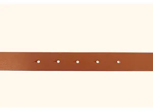 Women Fashion Belts Designer Leather Belts Famous Brands Women Buckle Leather Waist Belt