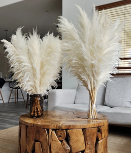 A-2 3 Tiges <span class=keywords><strong>Grand</strong></span> BLANC <span class=keywords><strong>PAMPAS</strong></span> HERBE 3-4ft <span class=keywords><strong>Grand</strong></span> Vente Fleurs Sèches Décor À La Maison Boho Décor De Mariage Floral Décor | Bouquet De Pampa - Product Image 2