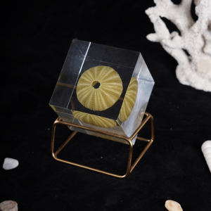 Diorama de resina oceánica Mini cubo del <span class=keywords><strong>mundo</strong></span> submarino para Navidad festiva Acción de Gracias Año Nuevo chino Día de San Valentín Día de la madre - Product Image 4