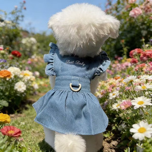 Summer Thin Denim <b>Princess</b> Dress For Small Dogs Teddy Breathable Spring Summer Skirt Lace Trim Pet <b>Clothes</b> - Product Image 1