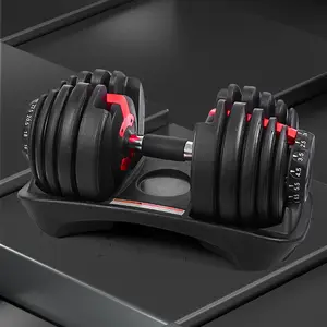 Factory Gym casting iron classic adjustable dumbbell model 24kg durable Adjustable Dumbbell Set wholesale weight 552