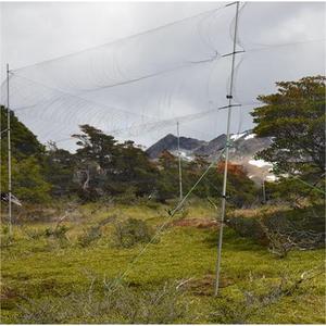 Red Agrícola Antiaves <span class=keywords><strong>de</strong></span> Nailon con Tratamiento UV, Red <span class=keywords><strong>de</strong></span> Protección para Aves <span class=keywords><strong>de</strong></span> <span class=keywords><strong>Campo</strong></span> - Product Image 6