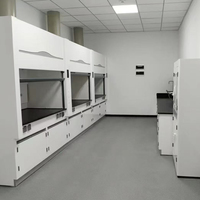 Campana de Extracción de Gases para Laboratorio Químico, Tipo Sobremesa, con Resina Epoxi y Diseño Anticorrosión