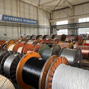 風大XHHW電線600V/1000V 1 4 6 8 10 AWG 1/0 2/0 4/0単芯銅導体XLPE電気ケーブル電線 - Product Image 6