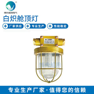 Lámpara de Techo LED CCD9-5L de Fábrica al por Mayor, Lámpara de Techo para Cabina, Lámpara de Cubierta para Pasarela Marina, Lámpara de Cubierta Impermeable - Product Image 1