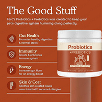 Label privé Supplément vitaminique pour soins de santé Supplément postbiotique en poudre pour chats et chiens Santé des animaux de compagnie