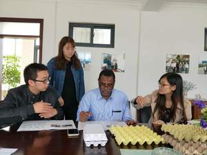 Passen Sie die Produktions linie für automatische Eierablage-Maschinen aus Aluminium form an - Product Image 5