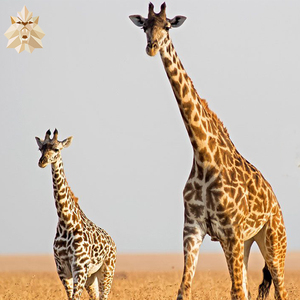 Lớn ngoài trời nhà vườn trang trí tùy chỉnh bán buôn giá rẻ hơn giá sợi thủy tinh điêu khắc nhựa con hươu cao cổ bức tượng - Product Image 5