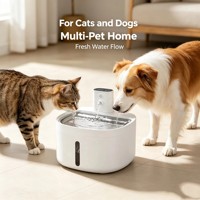 Fontaine à eau sans fil pour animaux de compagnie la plus vendue, distributeur d'eau en ABS et acier inoxydable 304, 2,6 L, rechargeable, pour chat et chien, usage intérieur