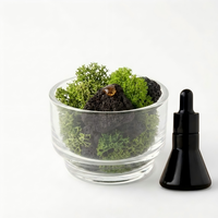 Diffuseur d'arômes en verre avec mousse préservée écologique et pierre de lave, roche volcanique naturelle, décoration d'intérieur, parfum d'ambiance