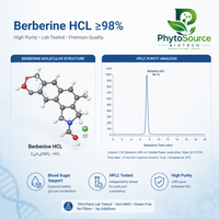 Extrait de Coptis Chinensis en poudre, Berbérine 20%, qualité alimentaire, supplément d'extrait végétal, matière première, contenant en verre/bouteille