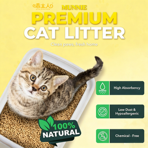 <span class=keywords><strong>Litière</strong></span> pour chat en vrac pour les distributeurs et les vendeurs transfrontaliers - Product Image 5