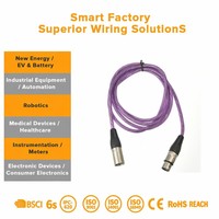 Harness Kabel Festoon dan Pompa 2-Core dengan Penyangga Tipe 2 untuk Peralatan Elektronik dan Sistem Internal Perangkat