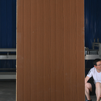 Lembaran HPL (High Pressure Laminate) 0.1-1mm Tahan Air Tekstur Kayu Marmer untuk Kabinet Dinding Furnitur