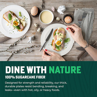 Sans PFAS 7 pouces canne à sucre bagasse pulpe compostable biodégradable jetable canne à sucre naturel blanc rond assiettes en papier