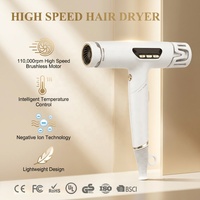 Sèche-cheveux professionnel à infrarouge céramique plasma haute vitesse, puissant, séchage rapide, 110000 tr/min