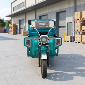 Tricycle cargo électrique, options d'assemblage SKD/CKD, couleur personnalisée, plateau en acier, pour commande en gros, export et approvisionnement de flottes. - Product Image 1