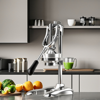 Boou Squeezer Citrus Roestvrij staal Food Grade Fruit Citroen Sinaasappel Handpers Gegalvaniseerde handmatige sapcentrifuge