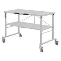 Table de travail en acier inoxydable pour usage commercial, double niveau, plan de travail de préparation de cuisine avec étagère inférieure