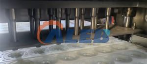 Macchina elettrica per la deseeding della gola della signora ibisco sabdariffa roselle - Product Image 4