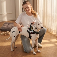 Harnais anti-traction pour chien réglable, rembourré en éponge confortable, en nylon Oxford 600D respirant à libération rapide, couleur unie HH564 pour petits chiens