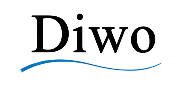 Haining Diwo Import And Export Co., Ltd. logo