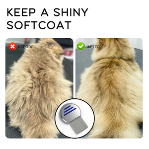 Peigne anti-<span class=keywords><strong>poux</strong></span> et anti-puces en acier inoxydable durable, portable, facile à utiliser, simple pour chats et chiens - Product Image 6