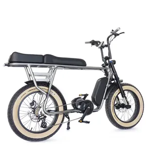 Fat Tire 20 Inch E-Bike Met Hoge Kwaliteit Optionele Batterij E Bikes 1000Watt Elektrische Fiets
