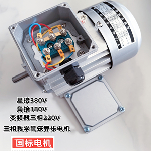 มอเตอร์แบบอะซิงโครนัสชนิดกรงกระรอกสามเฟส 380V พร้อมเทอร์มินัลบล็อกสำหรับใช้กับตัวแปลงความถี่เพื่อการเรียนการสอน - Product Image 3
