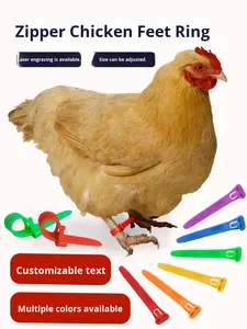 Nuevo Anillo de pie de pollo de plástico, número de marcado para anillos de pata de aves de corral, pollito de ganso de pato, numeración de etiquetas de animales grandes - Product Image 5