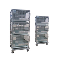 Cages et support transparents de laboratoire pour Rat/souris/cochon d'inde