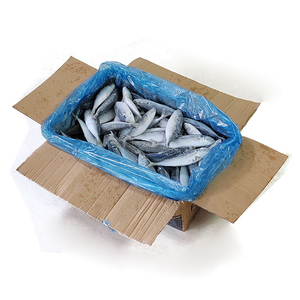سمك الماكريل الياباني المجمد WR سمك فيليه سمك مجمد - Product Image 5